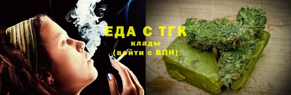 индика Алзамай