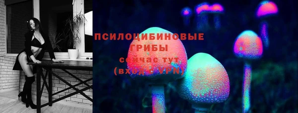 мет Няндома