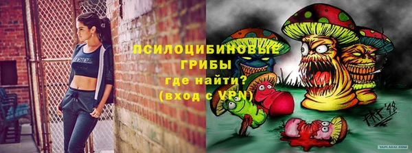 мет Няндома