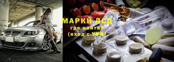 индика Алзамай