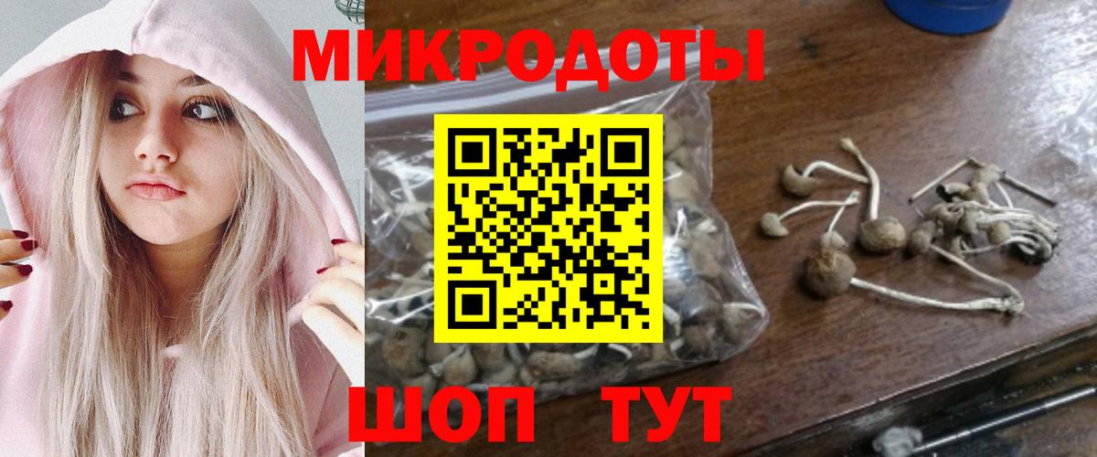 Галлюциногенные грибы Magic Shrooms Алексин