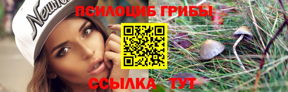 Галлюциногенные грибы GOLDEN TEACHER  Вход с VPN  Псилоцибиновые грибы MAGIC MUSHROOMS  Алексин 