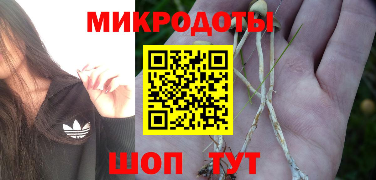 Псилоцибиновые грибы GOLDEN TEACHER  Галлюциногенные грибы MAGIC MUSHROOMS  Алексин 